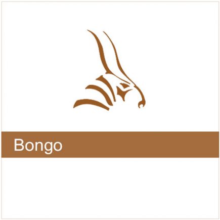 Bongo 2 commercial