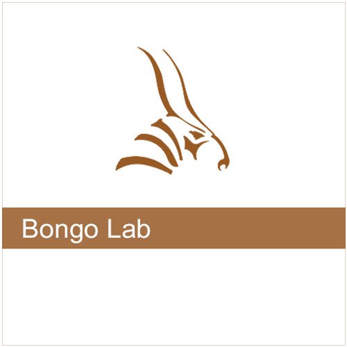 Bongo 2 LAB 1