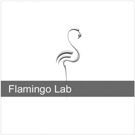 Flamingo nXt LAB 1