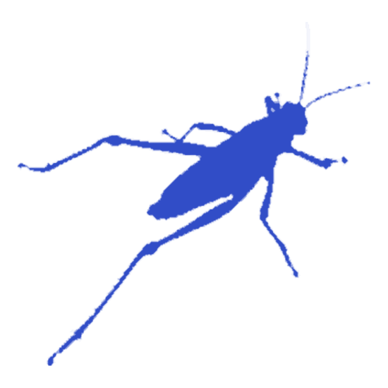 Grasshopper - Introduzione alla modellazione generativa 1